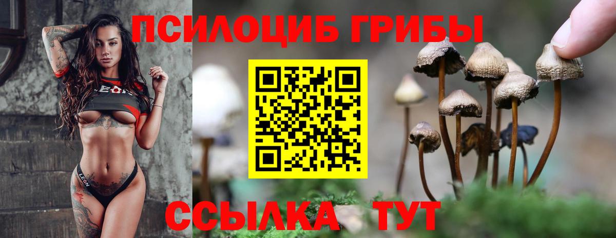 Псилоцибиновые грибы Cubensis Красноярск